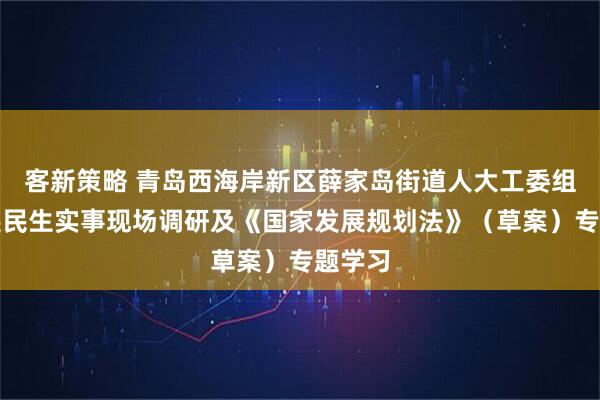 客新策略 青岛西海岸新区薛家岛街道人大工委组织开展民生实事现场调研及《国家发展规划法》（草案）专题学习