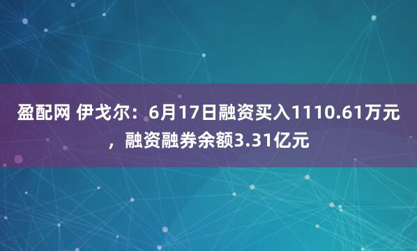 盈配网 伊戈尔：6月17日融资买入1110.61万元，融资融券余额3.31亿元
