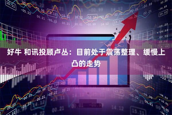 好牛 和讯投顾卢丛：目前处于震荡整理、缓慢上凸的走势
