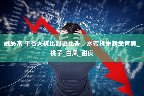 融易富 平谷大桃比甜更比香，水蜜桃重新受青睐_桃子_白凤_甜度