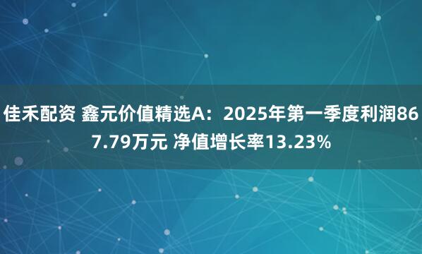 佳禾配资 鑫元价值精选A：2025年第一季度利润867.79万元 净值增长率13.23%