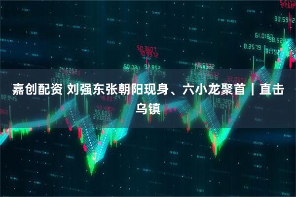 嘉创配资 刘强东张朝阳现身、六小龙聚首|直击乌镇